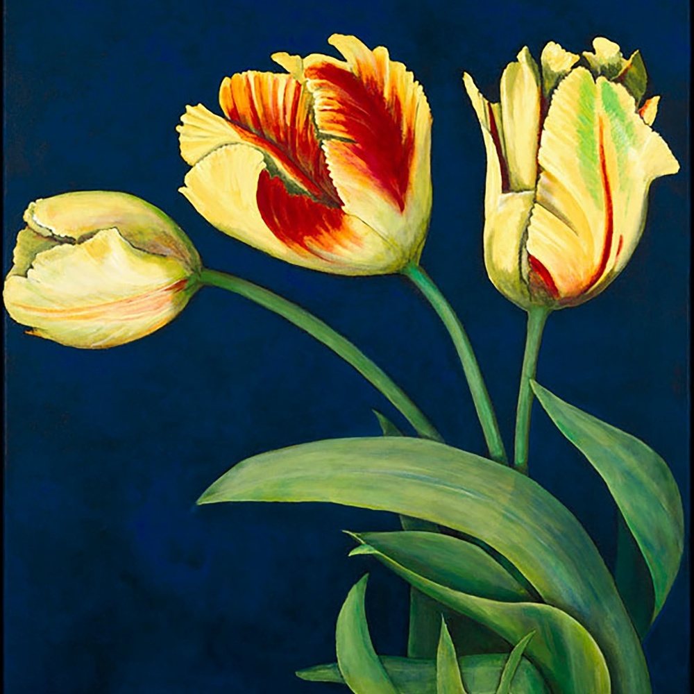 "Bird Of Paradise Tulips" - by Artist Konnie K